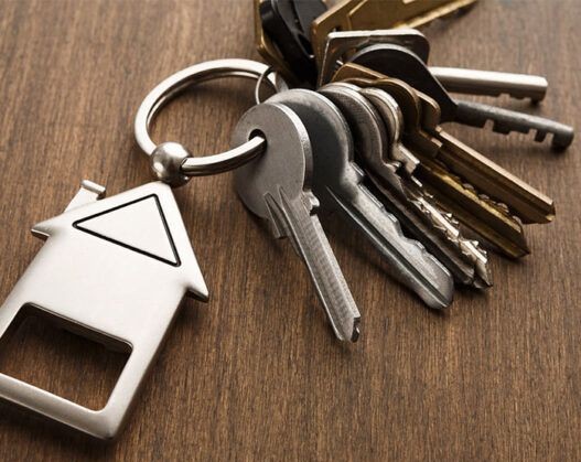 WhatsApp Image 2025 11 17 at 21.22.06